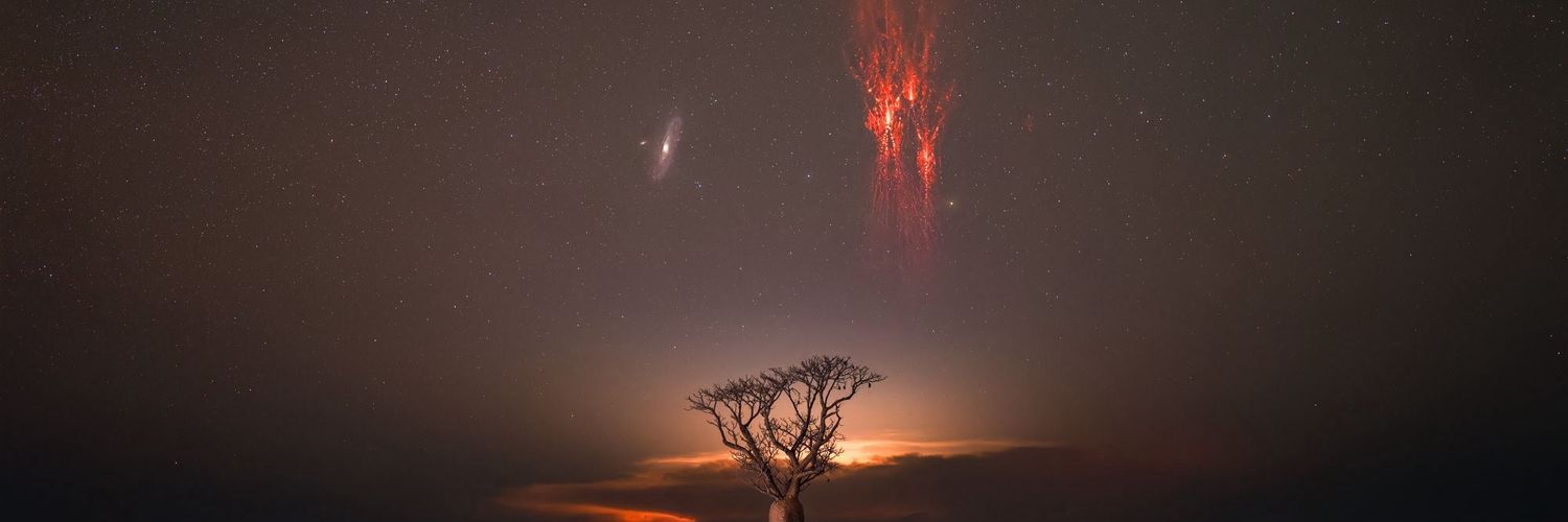 Luis González 🐙🏳️‍🌈🎃💀🐦🇵🇸 banner