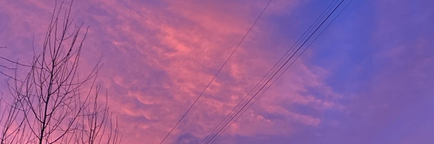 surdialism's profile banner image