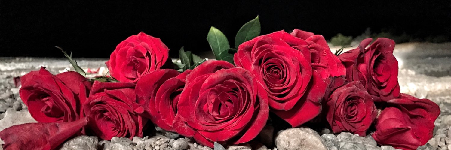 ThomasReymond97's profile banner image