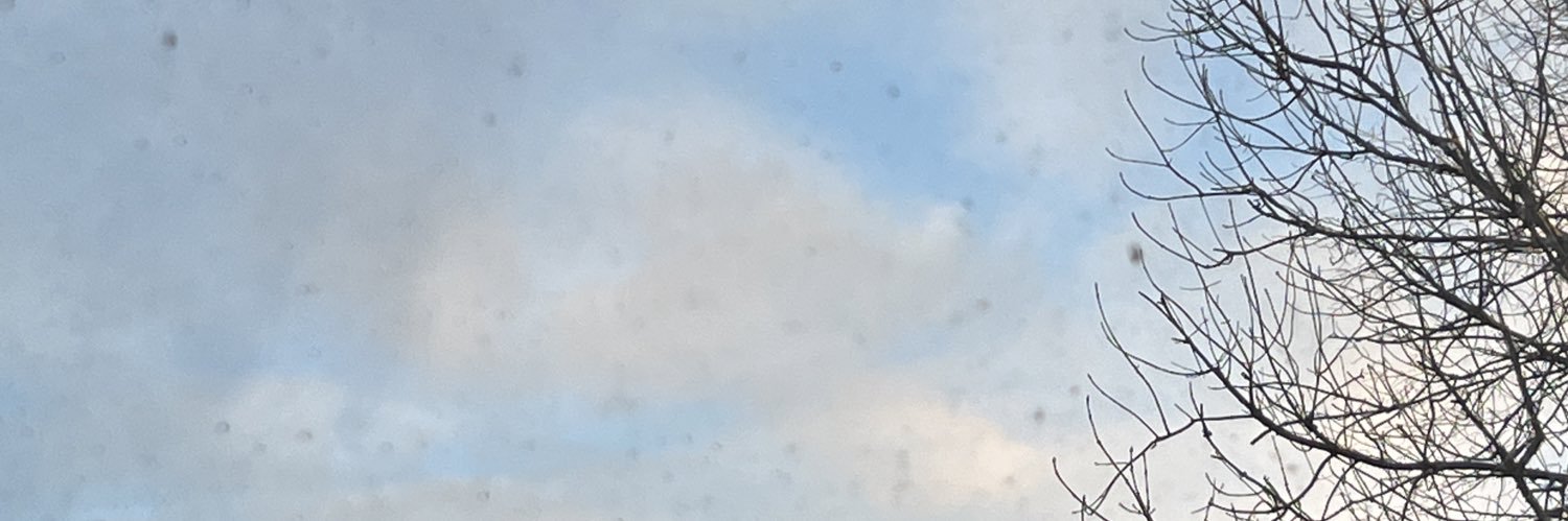 demikiing's profile banner image