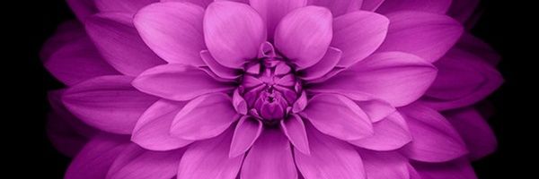 _frdyt_'s profile banner image