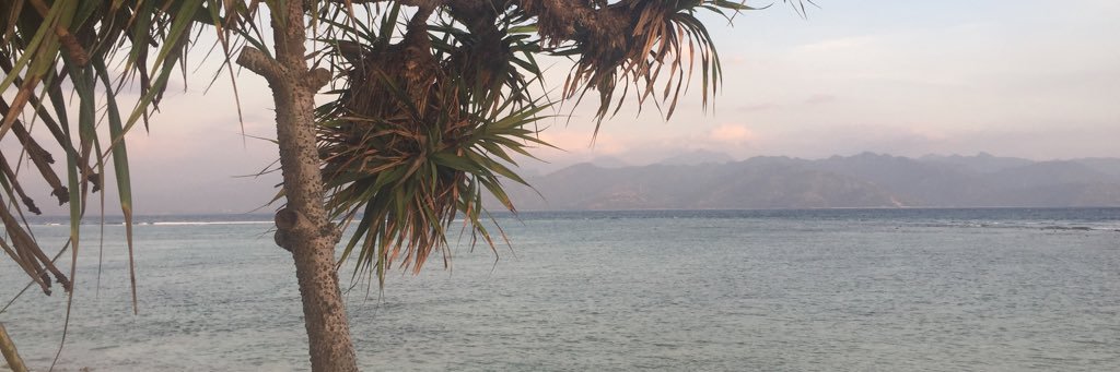 jasmineih94's profile banner image