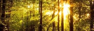 nick_constable's profile banner image