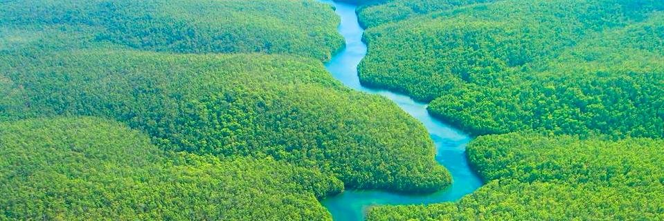 JungleJen2014's profile banner image