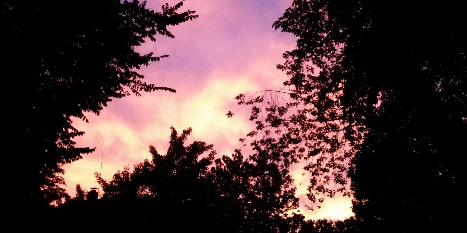 JessH67's profile banner image