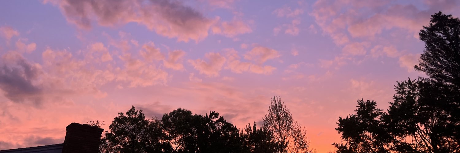 juliaheacock's profile banner image