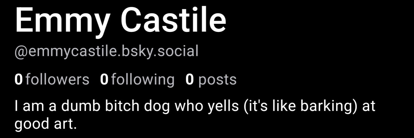 EmmyCastile's profile banner image