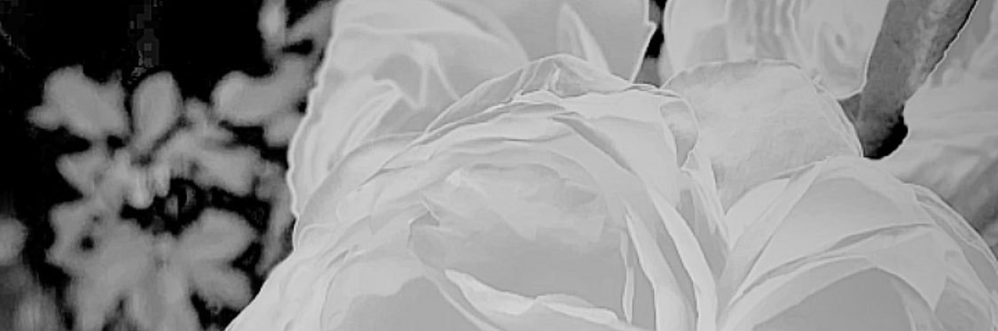 caedenJT's profile banner image
