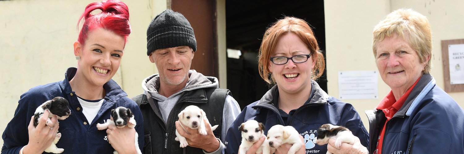 louthspca's profile banner image