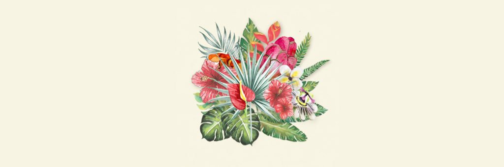withinroots's profile banner image