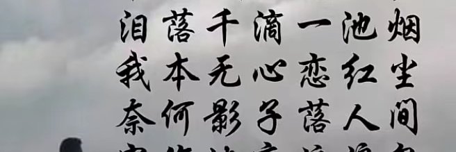 platodf's profile banner image