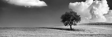 AndreAsecas 💜 banner