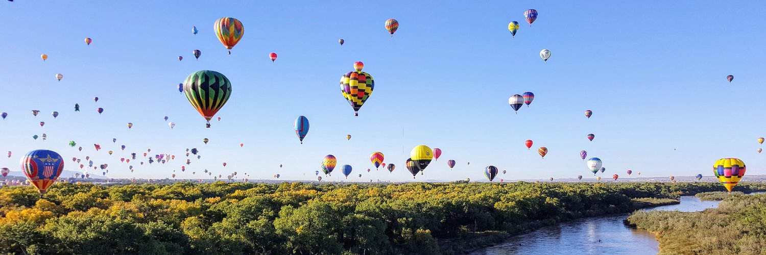 Lisa Gerstner banner