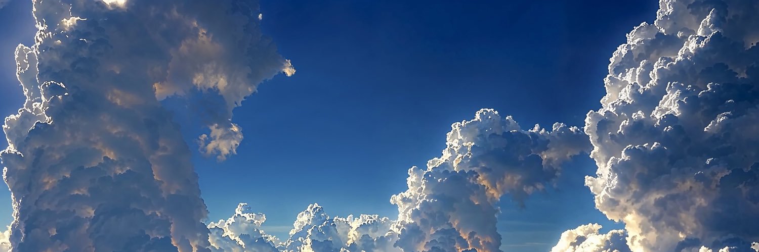 fly_kikoo's profile banner image