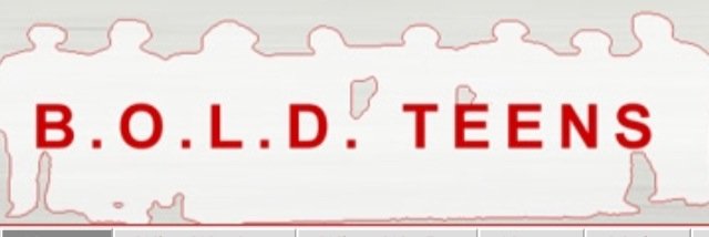 BOLDTEENS banner