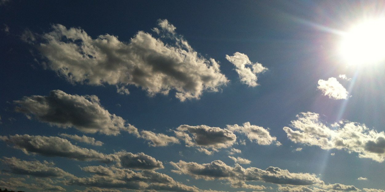 brabender's profile banner image