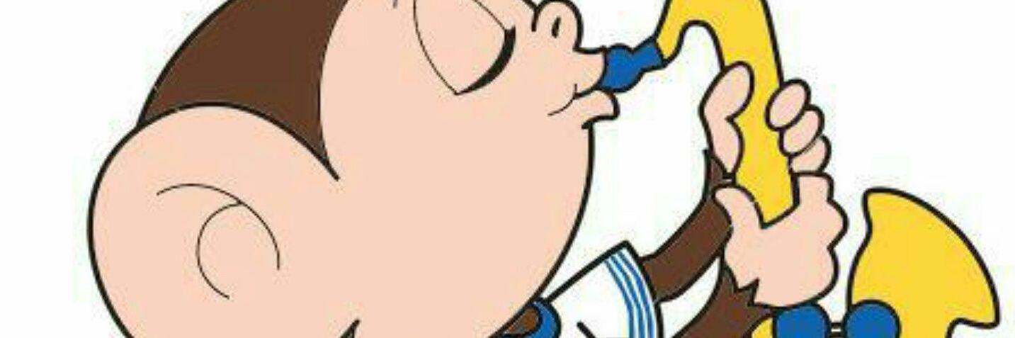 La barra de FaCEA banner