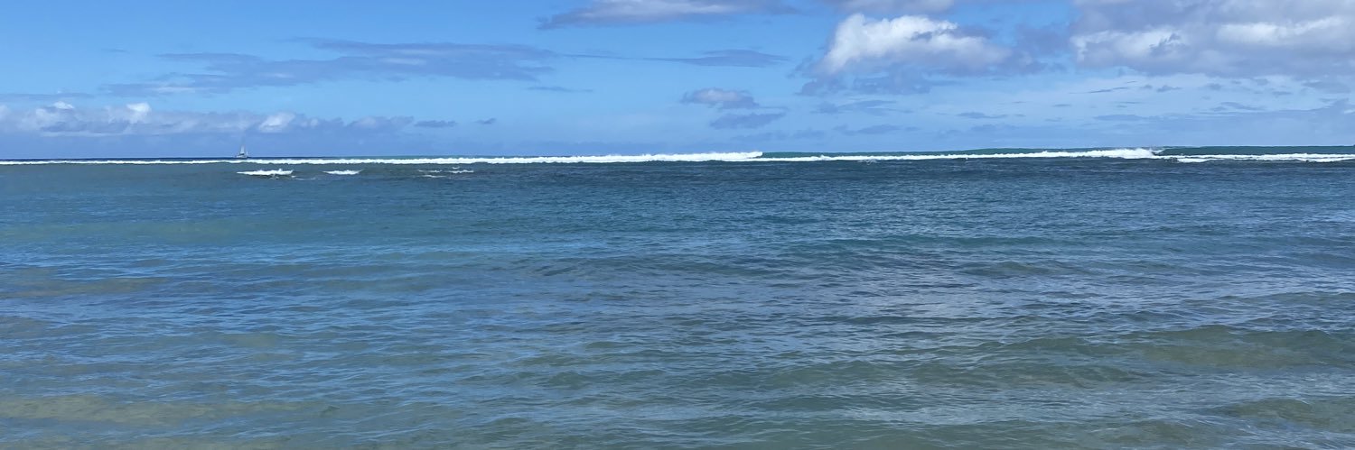 IvanCopShoe's profile banner image
