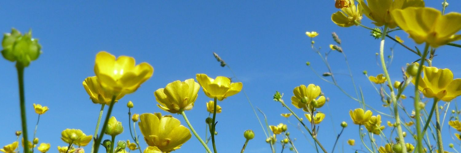 LJAC89's profile banner image