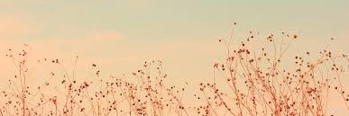 riskhata's profile banner image