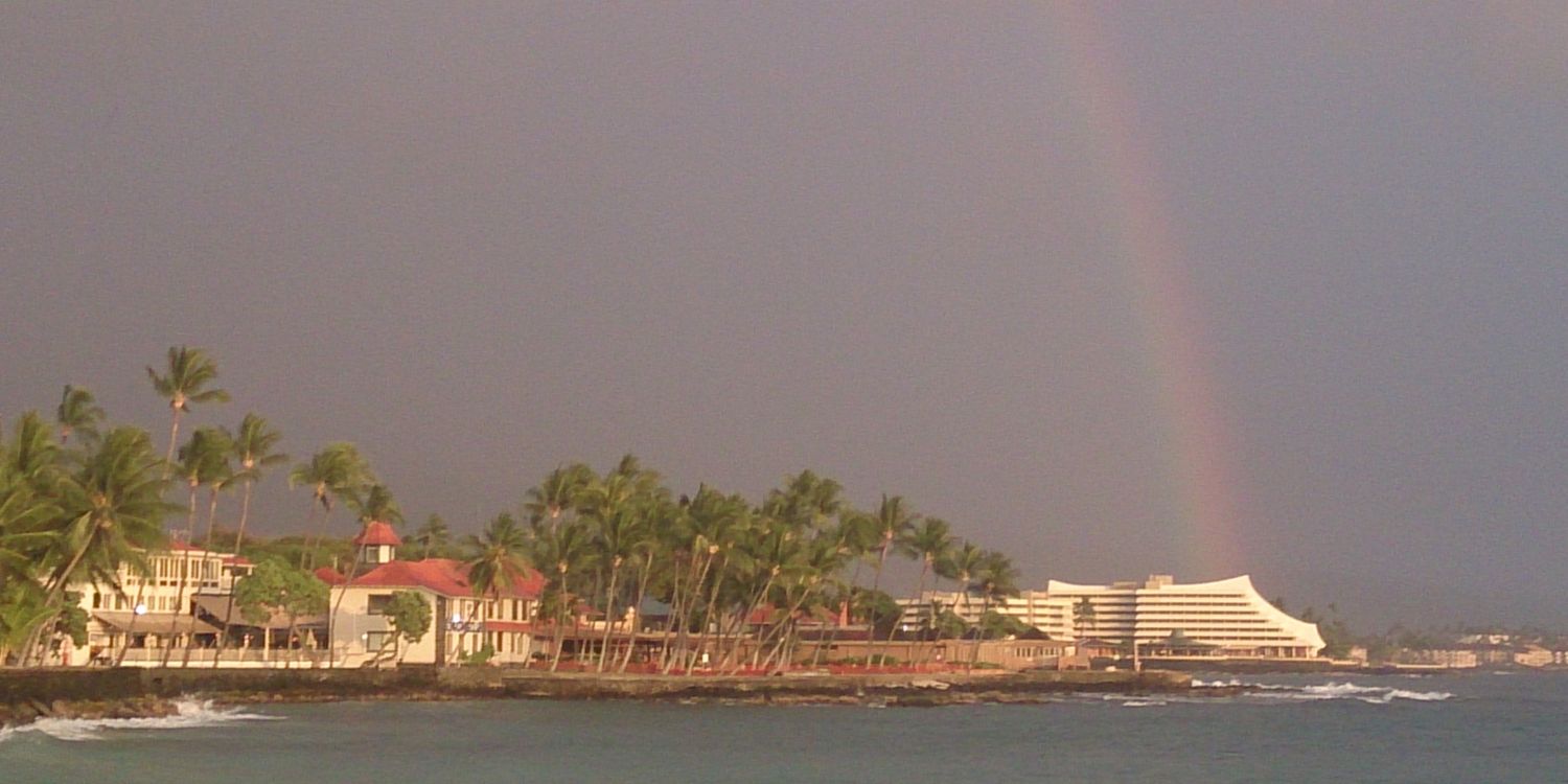 mii_yy's profile banner image