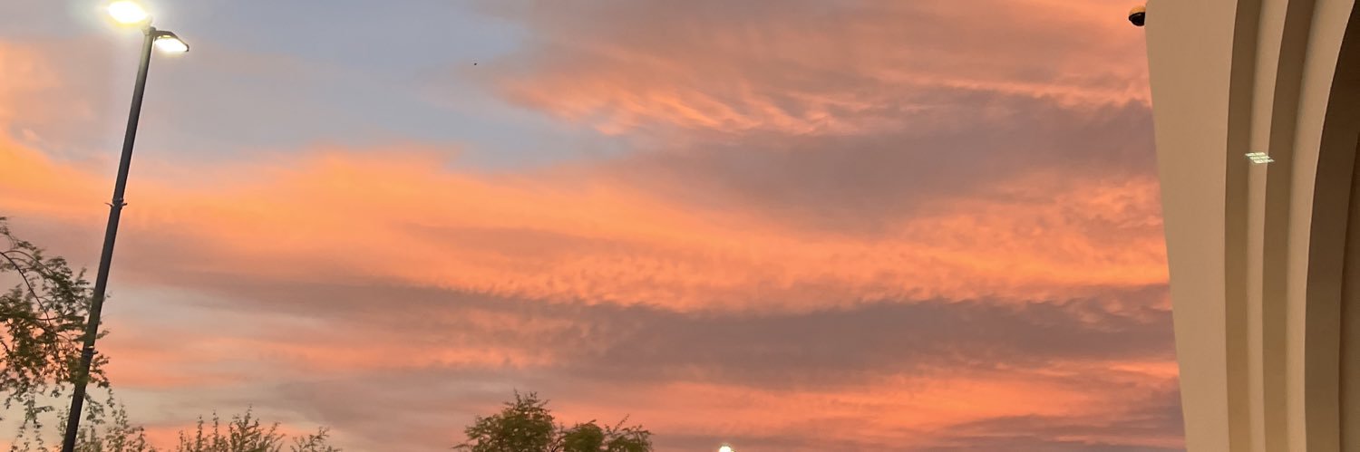 AZwildboy's profile banner image