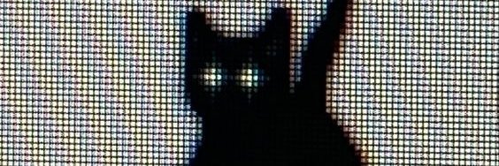 kallyyaann's profile banner image