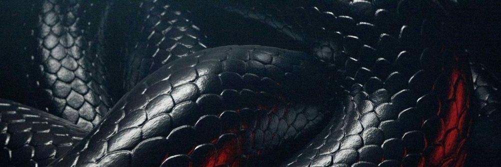 _marcoteorico's profile banner image