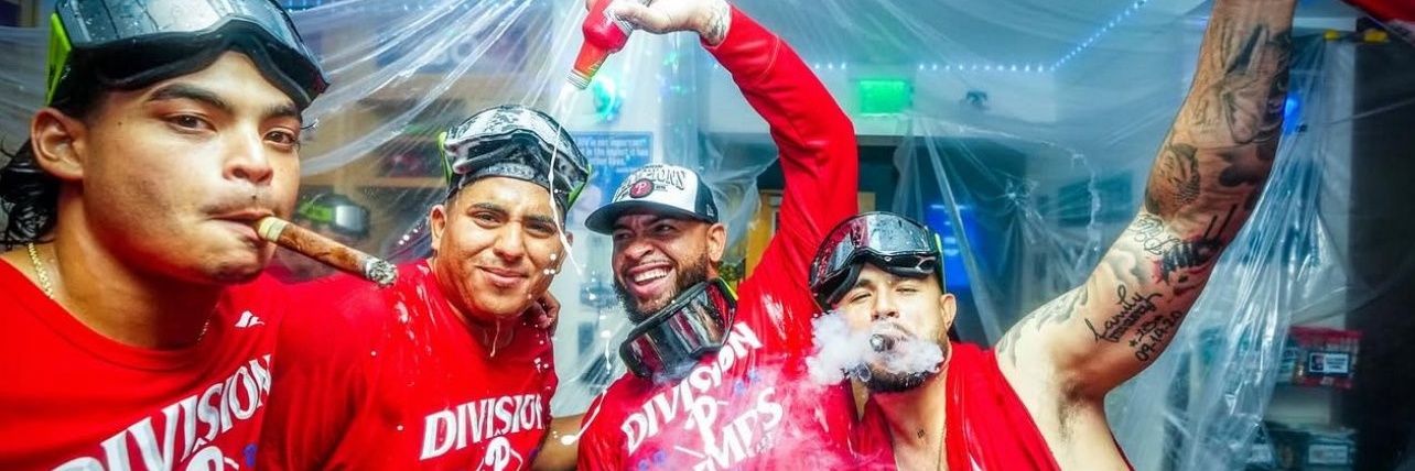 Battle Alpaca banner