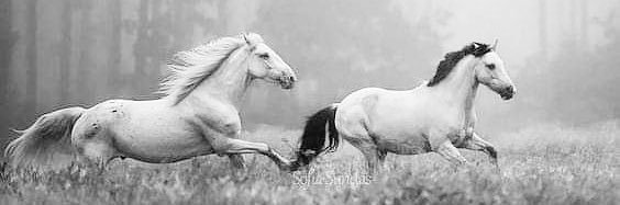 ചുമ്പി banner