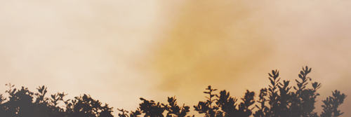 loganvegdr's profile banner image
