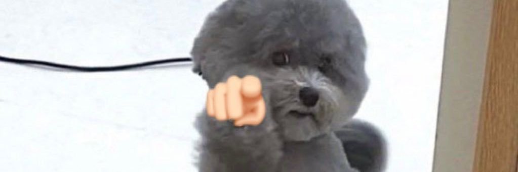lohkoqq's profile banner image