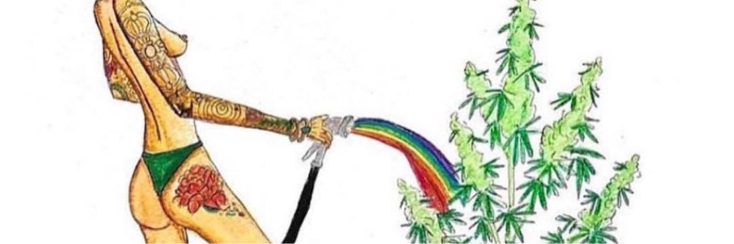 Cheyannaxo_'s profile banner image