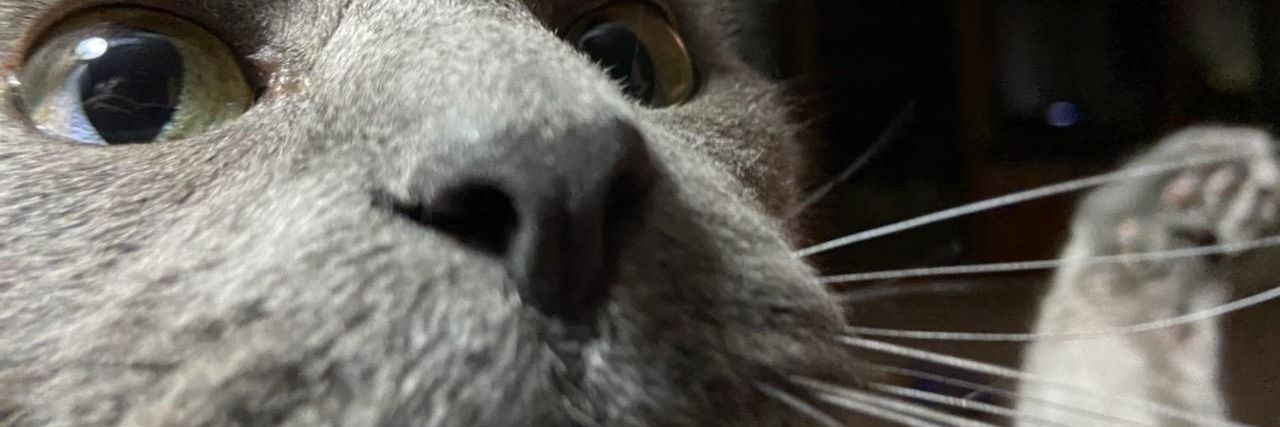 javaugh3's profile banner image