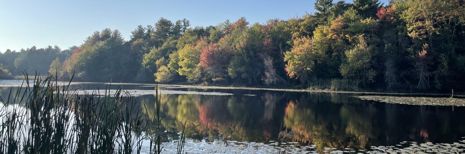 The Running Griffin banner