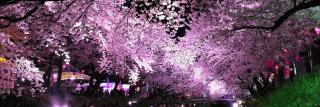 ykym_____kmtk's profile banner image