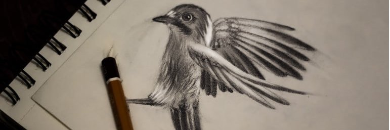 kayaborreguitha's profile banner image