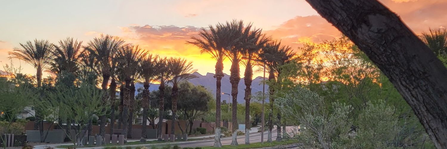 Alan_Bustamante's profile banner image