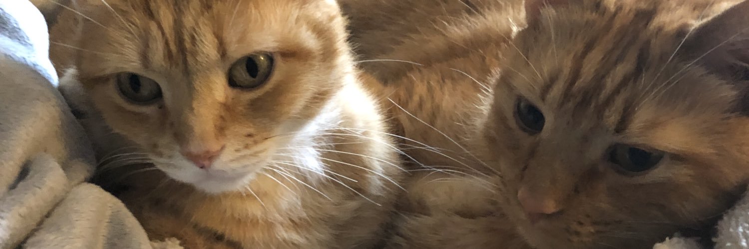 melvasiliou's profile banner image