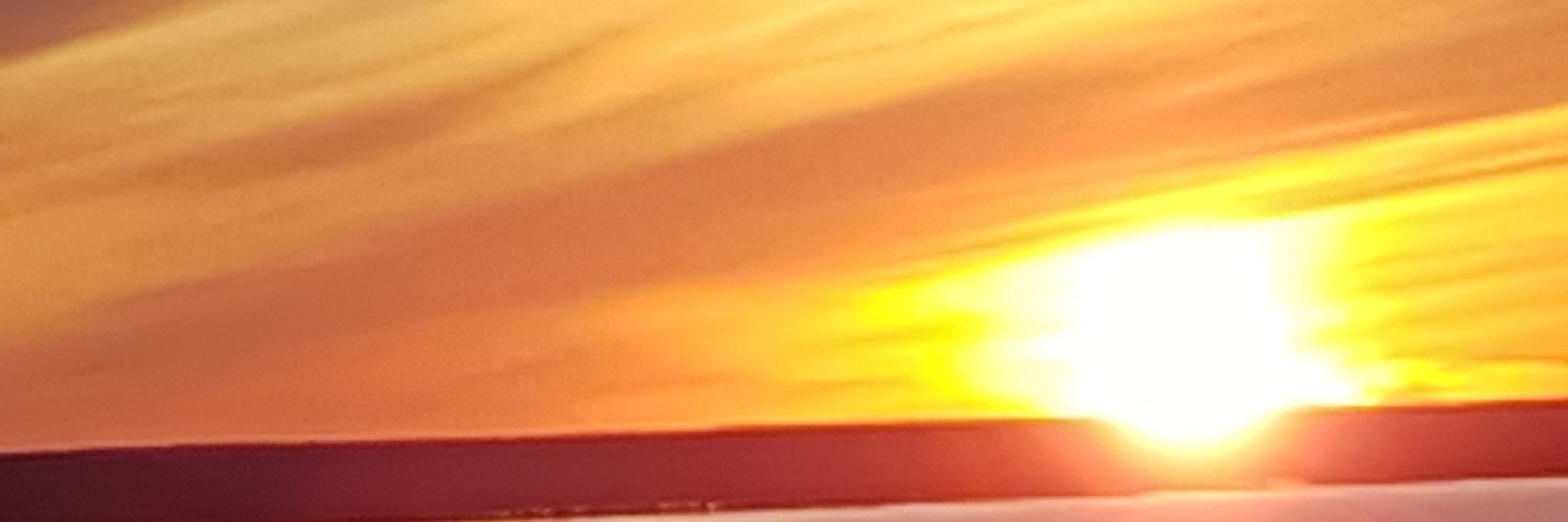 leannedc14's profile banner image