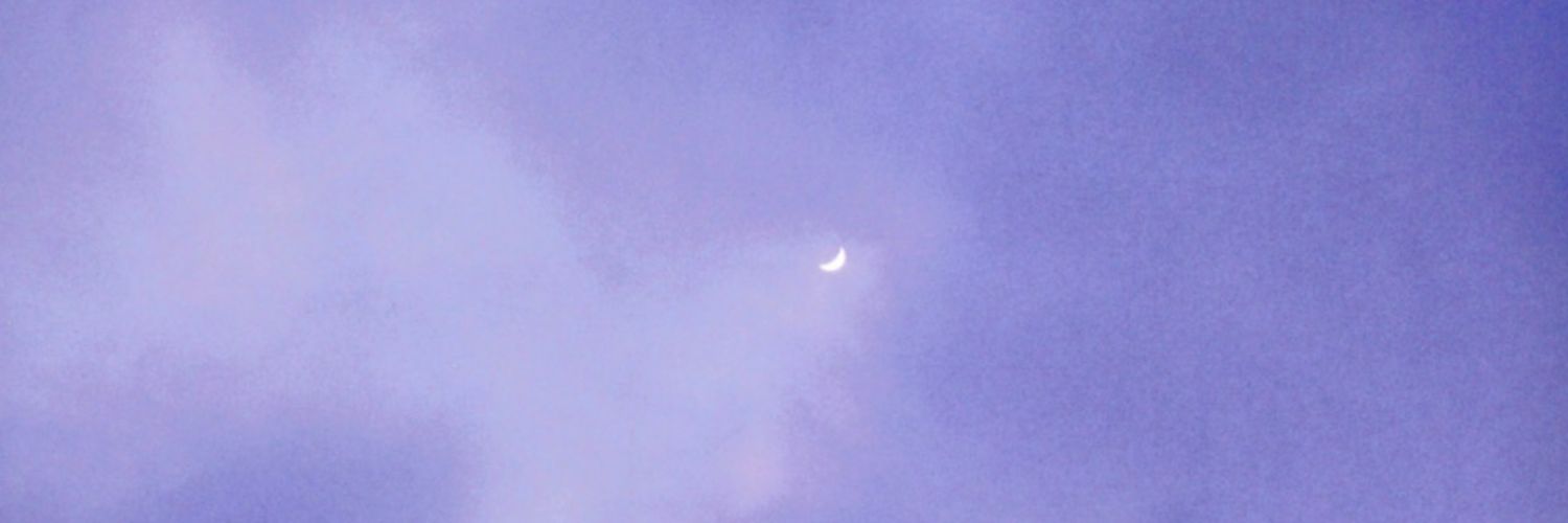 eleena_martz's profile banner image