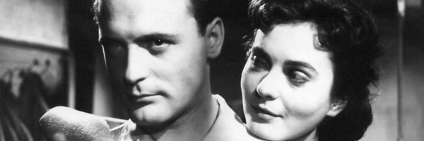 Directors_SI Profile Banner