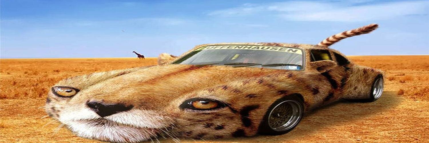 Shaman_Tito's profile banner image