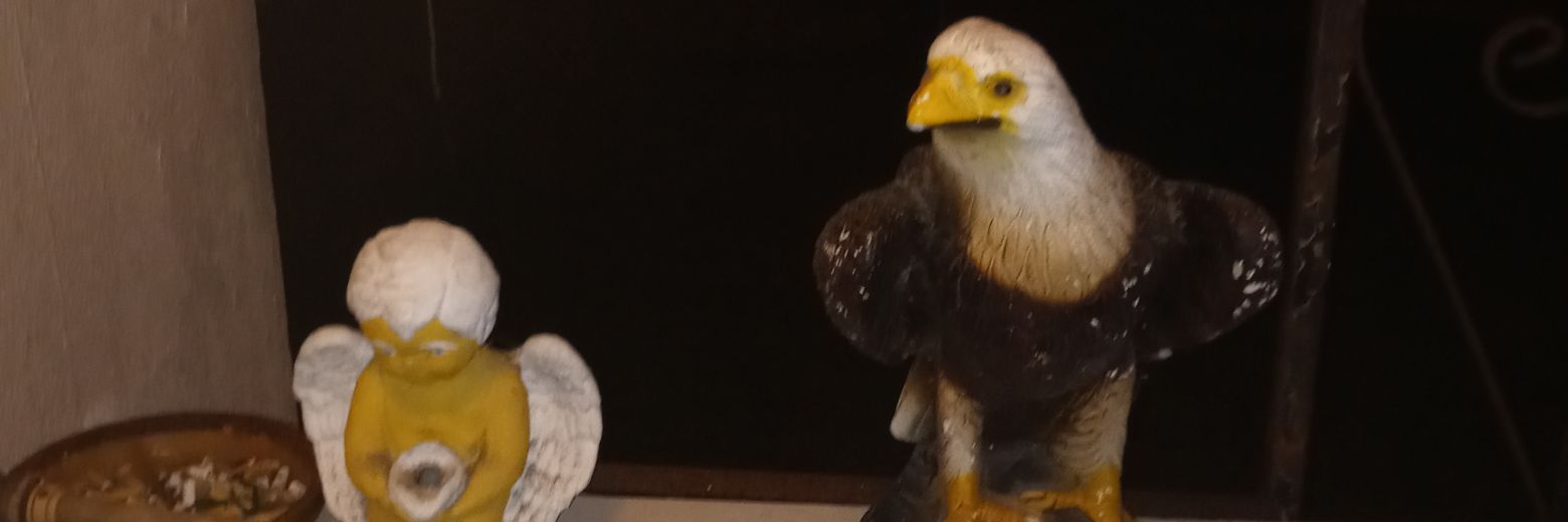 catkittyeyes's profile banner image
