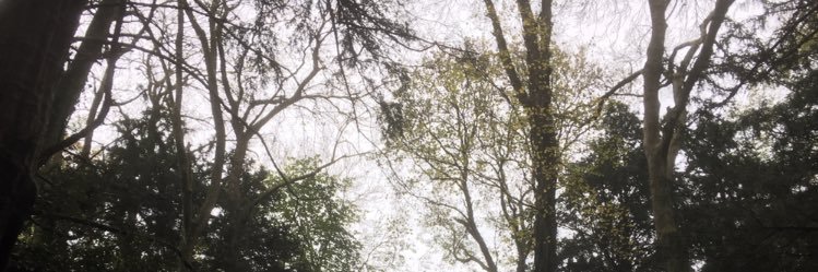 alannahRose___'s profile banner image