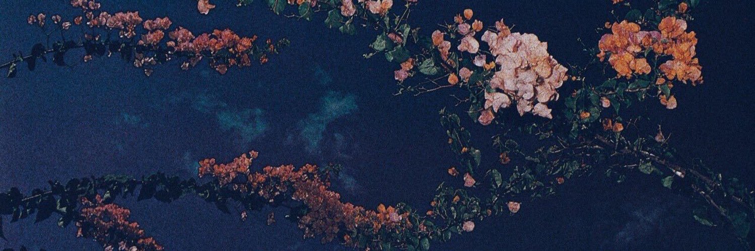 rainbowhar's profile banner image