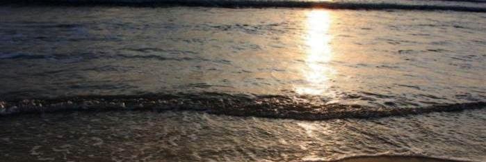 saliananvale's profile banner image
