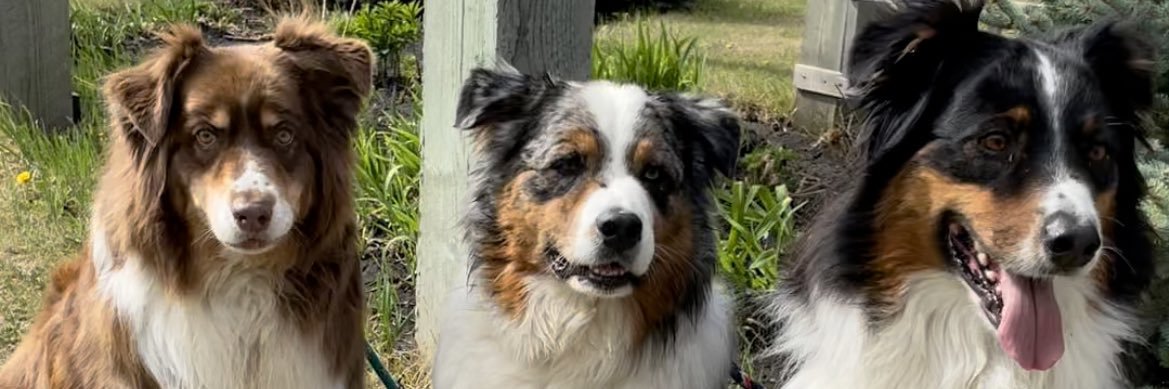 aussie1doc's profile banner image