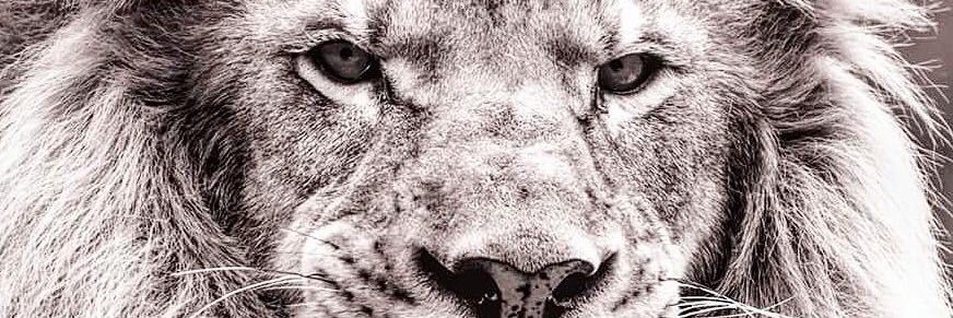 retired_guy38's profile banner image
