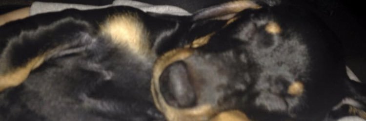 rue_clarke's profile banner image